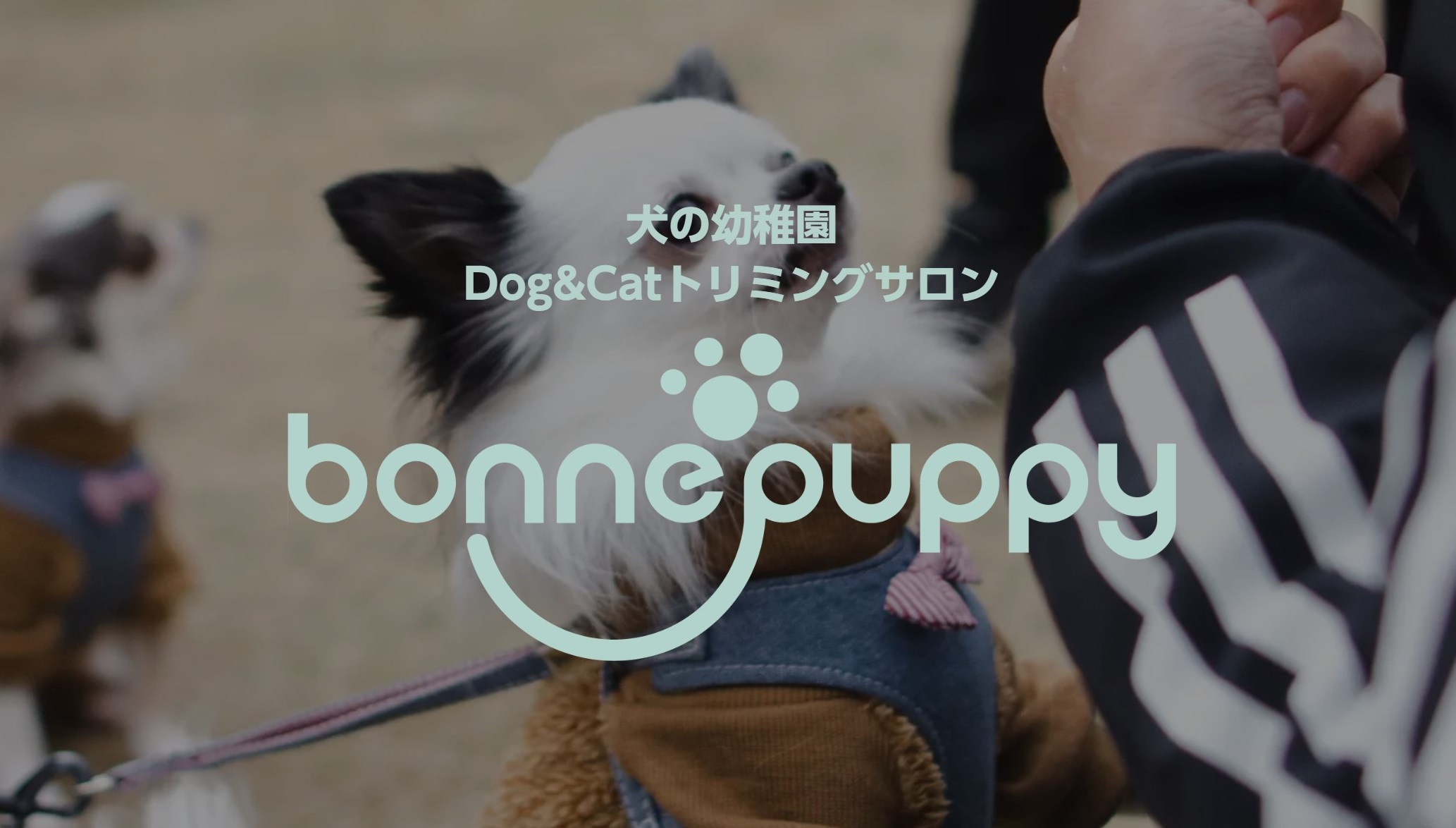 株式会社GRApP、ペット事業へ参入　トリミングサロンと犬の幼稚園「bonne puppy（ボンパピ）」の運営を開始